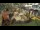 Webcam in Playa del Ingles (Gran Canaria), 3.1 km