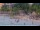 Webcam in Willemstad, Curaçao, 4.8 km entfernt