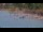 Webcam in Willemstad, Curaçao, 3.2 km