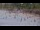Webcam in Willemstad, Curaçao, 67.8 km entfernt