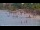 Webcam in Willemstad, Curaçao, 750.4 mi away