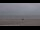 Webcam in Nes (Ameland), 15.4 mi away
