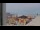Webcam in Nes (Ameland), 0.6 mi away