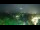 Webcam in Bad Bevensen, 8.5 mi away