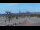 Webcam in Zeebrugge, 2.3 km