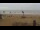 Webcam in Knokke-Heist, 20.2 km entfernt