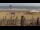Webcam in Knokke-Heist, 0.3 km