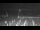 Webcam in Knokke-Heist, 9.3 km