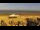 Webcam in Knokke-Heist, 1.3 km