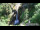 Webcam in Flattach, 0 km