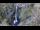 Webcam in Flattach, 12.1 km entfernt