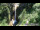 Webcam in Flattach, 4.6 km entfernt