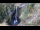 Webcam in Flattach, 3.4 km entfernt