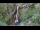 Webcam in Flattach, 7.6 km