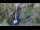 Webcam in Flattach, 12.1 km