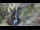 Webcam in Flattach, 2.1 km entfernt