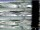 Webcam in Valentano, 9.5 km