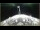 Webcam auf der Le Boréal, 448.3 km entfernt