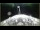 Webcam sulla Le Boréal, 150.6 km