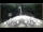 Webcam on the Le Boréal, 42.6 mi away