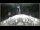 Webcam on the Le Boréal, 14.5 mi away