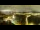 Webcam in Tampere, 4.9 km entfernt