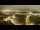 Webcam in Tampere, 164.5 km
