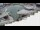 Webcam in Skagen, 24.5 mi away