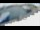 Webcam in Skagen, 59.5 mi away