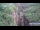 Webcam in Jiaozuo, 224.7 mi away