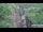 Webcam in Jiaozuo, 423.6 km entfernt