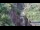 Webcam in Jiaozuo, 843.2 km