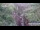 Webcam in Jiaozuo, 722.1 km