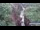 Webcam in Jiaozuo, 357.8 mi away