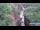 Webcam in Jiaozuo, 423.6 km
