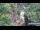 Webcam in Jiaozuo, 549.8 km