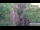 Webcam in Jiaozuo, 611.1 km entfernt