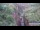 Webcam in Jiaozuo, 620.1 km entfernt