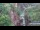 Webcam in Jiaozuo, 733.6 km