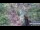 Webcam in Jiaozuo, 626.5 km