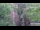 Webcam in Jiaozuo, 611.1 km