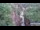 Webcam in Jiaozuo, 611.1 km