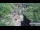 Webcam in Jiaozuo, 582.5 km entfernt