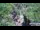 Webcam in Jiaozuo, 224.7 mi away