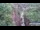 Webcam in Jiaozuo, 181.8 mi away