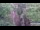 Webcam in Jiaozuo, 626.5 km entfernt