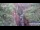 Webcam in Jiaozuo, 549.8 km