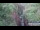 Webcam in Jiaozuo, 423.7 km
