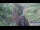 Webcam in Jiaozuo, 611.1 km