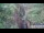 Webcam in Jiaozuo, 398.7 km